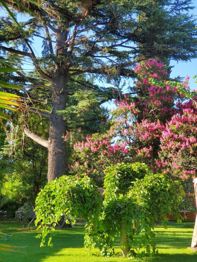 Quinta Ugarte Bed & Breakfast Lujan de Cuyo Eksteriør bilde