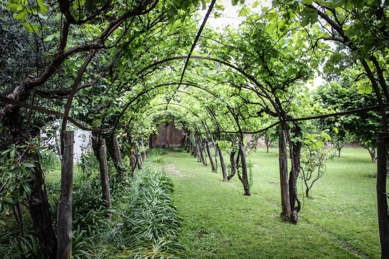 Quinta Ugarte Bed & Breakfast Lujan de Cuyo Eksteriør bilde